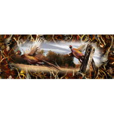 Ringneck Pheasant Tailgate 010